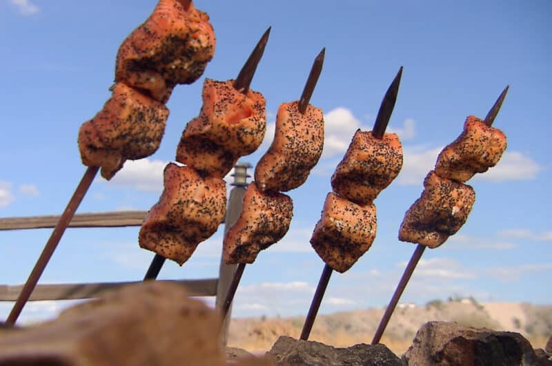 Salmon on a Stick