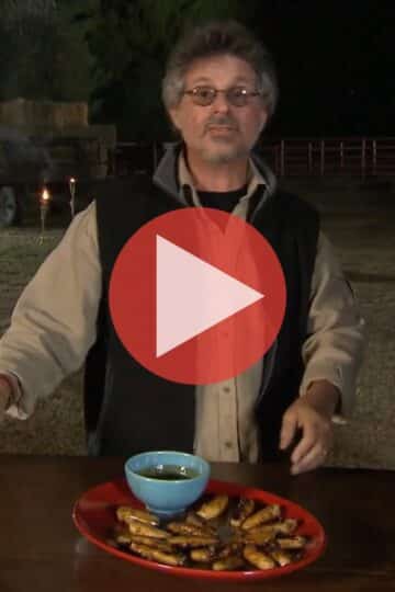 Steven Raichlen grilling vegetarian dishes in Heat Without Meat