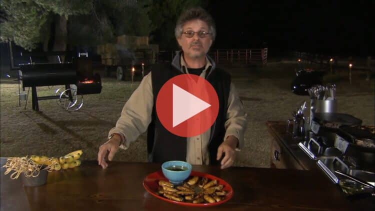 Steven Raichlen grilling vegetarian dishes in Heat Without Meat